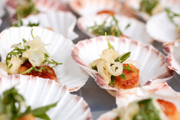 on a buffet appetizer: scallops, onion