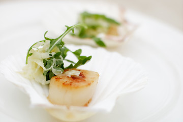 appetizer close-up: scallops, onion fennel, herbs