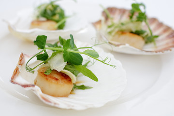 appetizer close-up: scallops, onion fennel, herbs