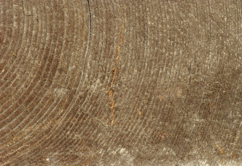 Naklejka premium old wood texture