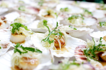 Fototapeta na wymiar on a buffet appetizer: scallops, onion