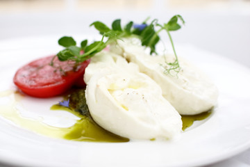 appetizer with tomato and buffalo cheese