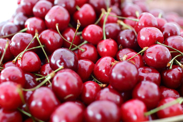 dish with fresh cherries closeup