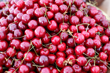 dish with fresh cherries closeup