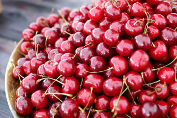 dish with fresh cherries closeup