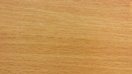 Fototapeta premium wood texture