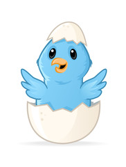 Little blue bird in egg vector cartoon illustration