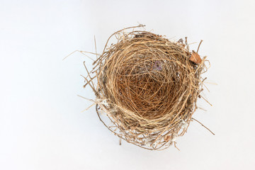 top view of empty bird nest