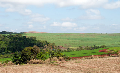 Ivaiporã, Paraná