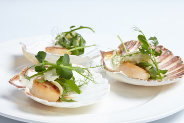 appetizer close-up: scallops, onion fennel, herbs
