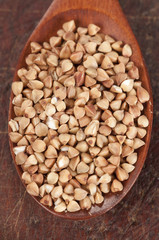Buckwheat grain