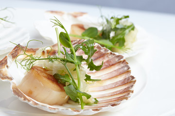 appetizer close-up: scallops, onion fennel, herbs