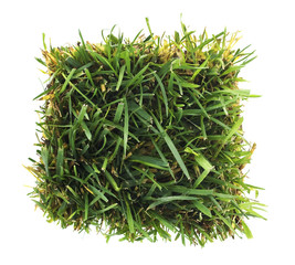 Isolated Green Grass Patch