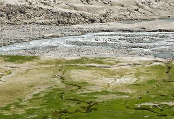 il colorato letto del torrente alpino