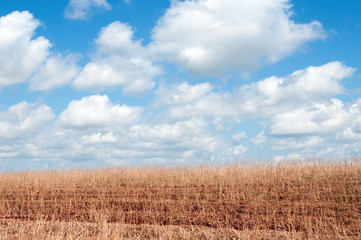 Ivaipor&atilde;, Paran&aacute;