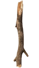 Tree stick