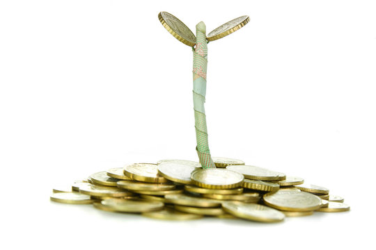 Coins and plant, isolated on white background