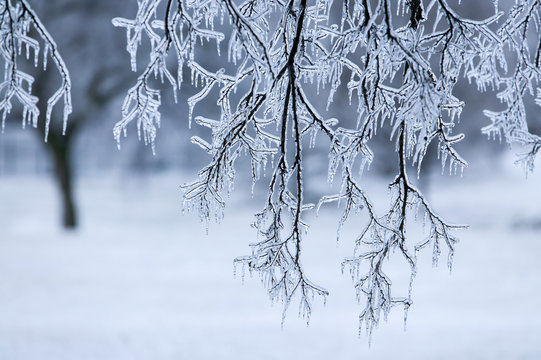 Ice Storm