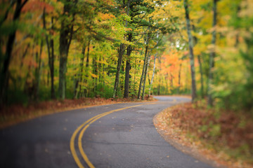 Naklejka premium Road with Curve Through Autumn Forest in Wisconsin