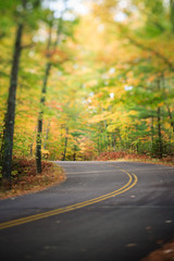 Road with Curve Through Autumn Forest in Wisconsin