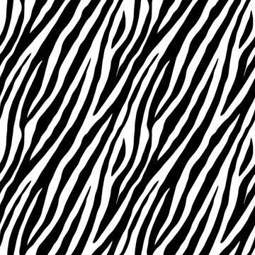 Zebra repeated seamless pattern