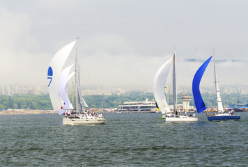 Obraz premium Sailboats in the sea
