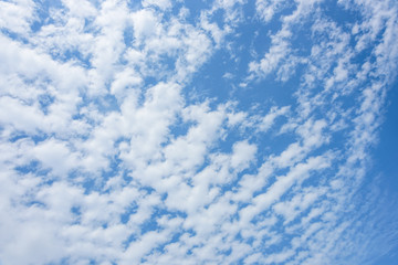 Fototapeta premium Blue sky background with white clouds