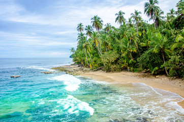 Wild caribbean beach of Costa Rica - Manzanillo