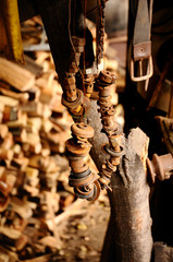 Photography of a string with rusty nuts and washers hanging in a tree