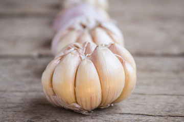 Garlic on the wooden background