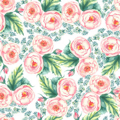 Hand drawn watercolor floral seamless pattern with tender pink roses on the white background