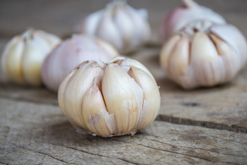 Garlic on the wooden background