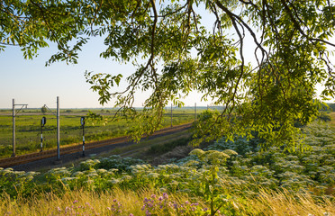 Railroad through a sunny landscape in summer