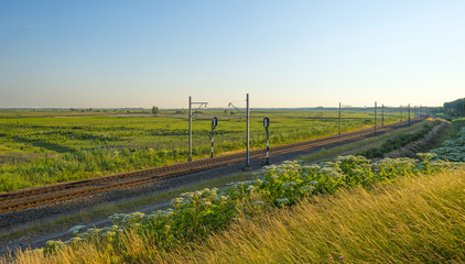 Fototapeta na wymiar Railroad through a sunny landscape in summer