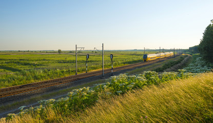 Fototapeta na wymiar Electric train driving through nature in summer