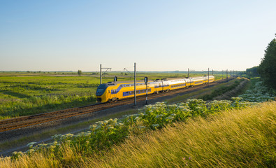 Fototapeta premium Electric train driving through nature in summer