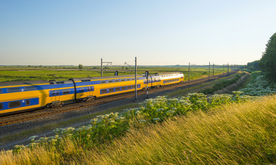 Electric train driving through nature in summer