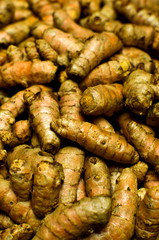 Group of Turmeric