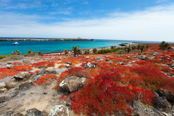 Galapagos island landscape