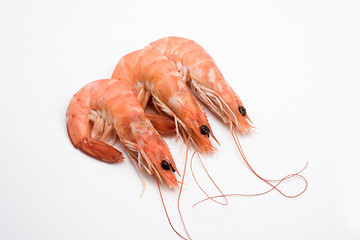 king prawns cooked isolated on white background