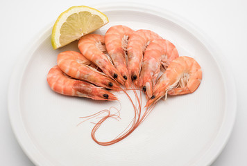 king prawns cooked isolated on white background on dish and lemo