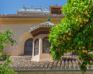 Granada, Spain
