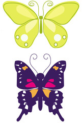 BUTTERFLY