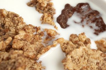 Cereals