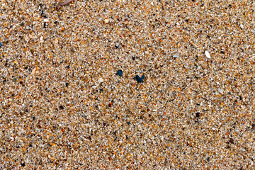 Sand texture background.