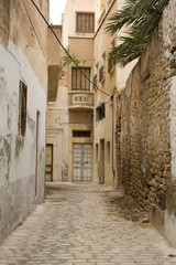 Fototapeta na wymiar Street with wooden doors and bush in Mahdia. Tunisia. Africa.