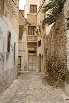 Street with wooden doors and bush in Mahdia. Tunisia. Africa.