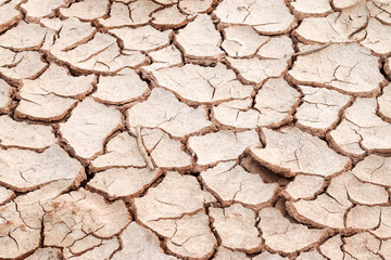 Cracked soil surface