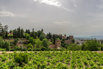 Fototapeta na wymiar Alhambra,Granada, Spain 