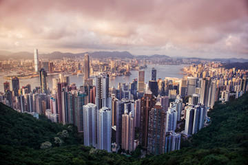 Fototapeta premium HONG KONG - JUNE 08, 2015: skyline of Hong Kong from Victoria Pe